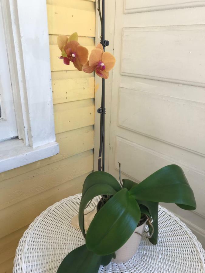 Adorable Historic Downtown Apartment St. Augustine Extérieur photo